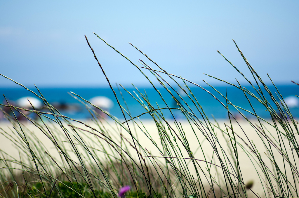 San Felice Circeo - Mare